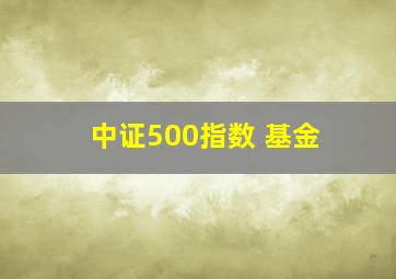 中证500指数 基金